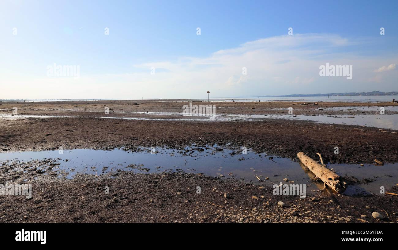 Grande pezzo di driftwood sulla costa del lago di Costanza in ghiaia e pozza d'acqua Foto Stock