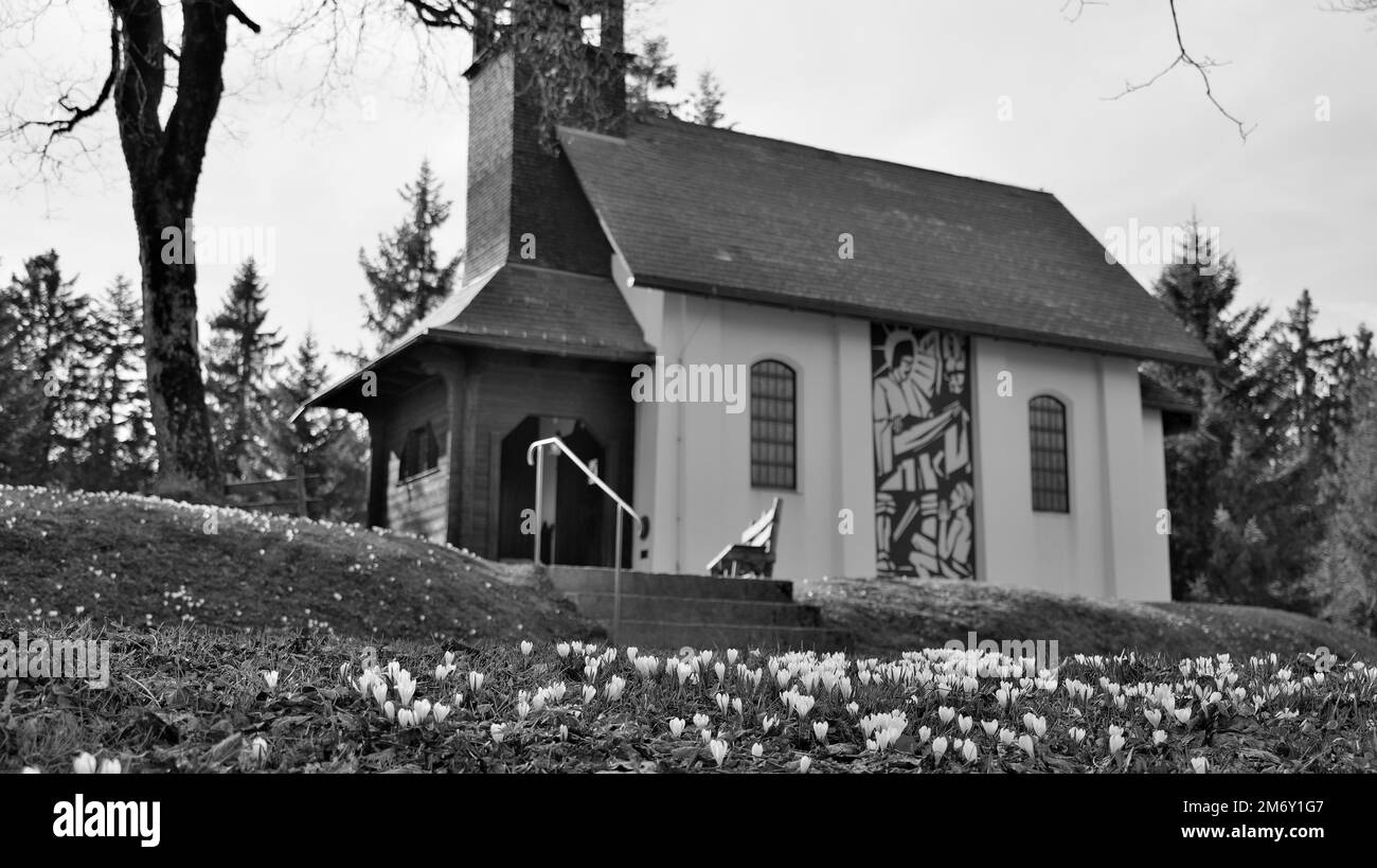 Blurry piccola cappella bianca su una collina dietro fiori bianchi, accanto ad una panca di legno a Dornbirn, Austria in bianco e nero Foto Stock