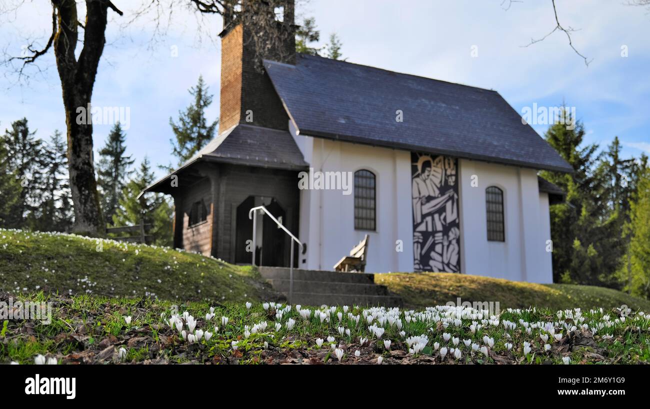 Blurry piccola cappella bianca su una collina dietro fiori bianchi, accanto a una panca di legno a Dornbirn, Austria Foto Stock