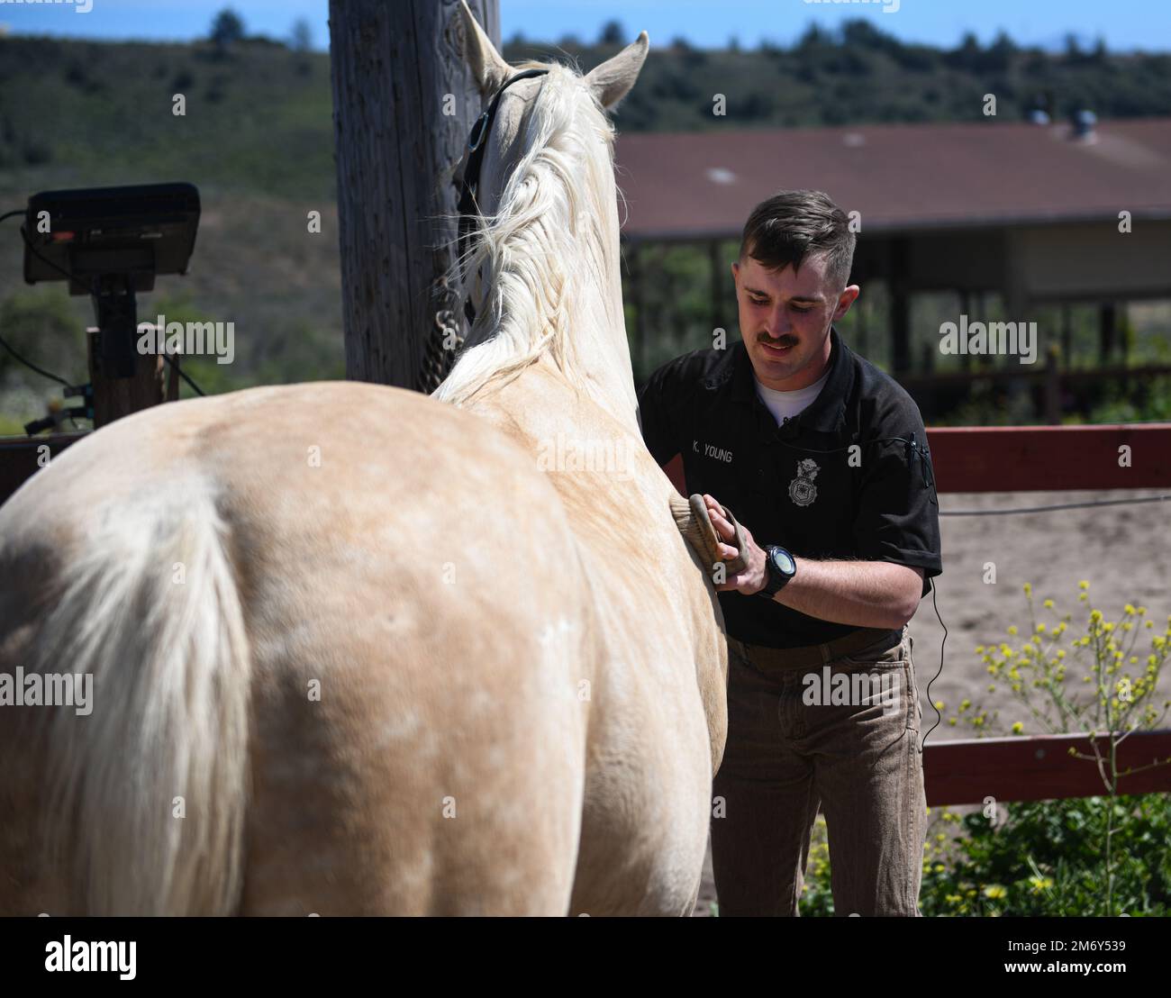 Staff Sgt. Kyle Young, 30th forze di sicurezza Squadron Patrollman di conservazione, spazzole cavallo militare di lavoro mantello di Patton al di fuori delle scuderie su Vandenberg Space Force base, Calif., 9 maggio 2022. Il programma di lavoro militare dei cavalli verrà ritirato il 9 agosto 2022. Foto Stock