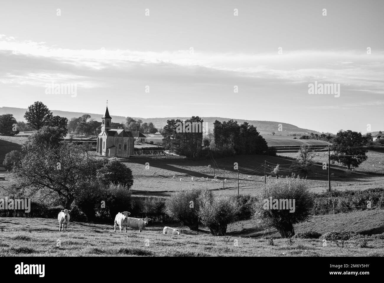 Splendida fotografia di paesaggi in Francia. Foto di paesaggio in Borgogna. Foto di paesaggio nel Nievre. Prato con Chiesa al sole. 58 in Francia. Foto Stock