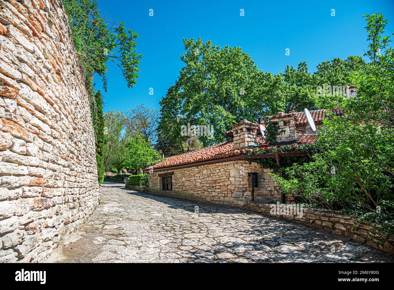 Strada della città vecchia lastricata di pietra e alberi fioriti. Foto Stock