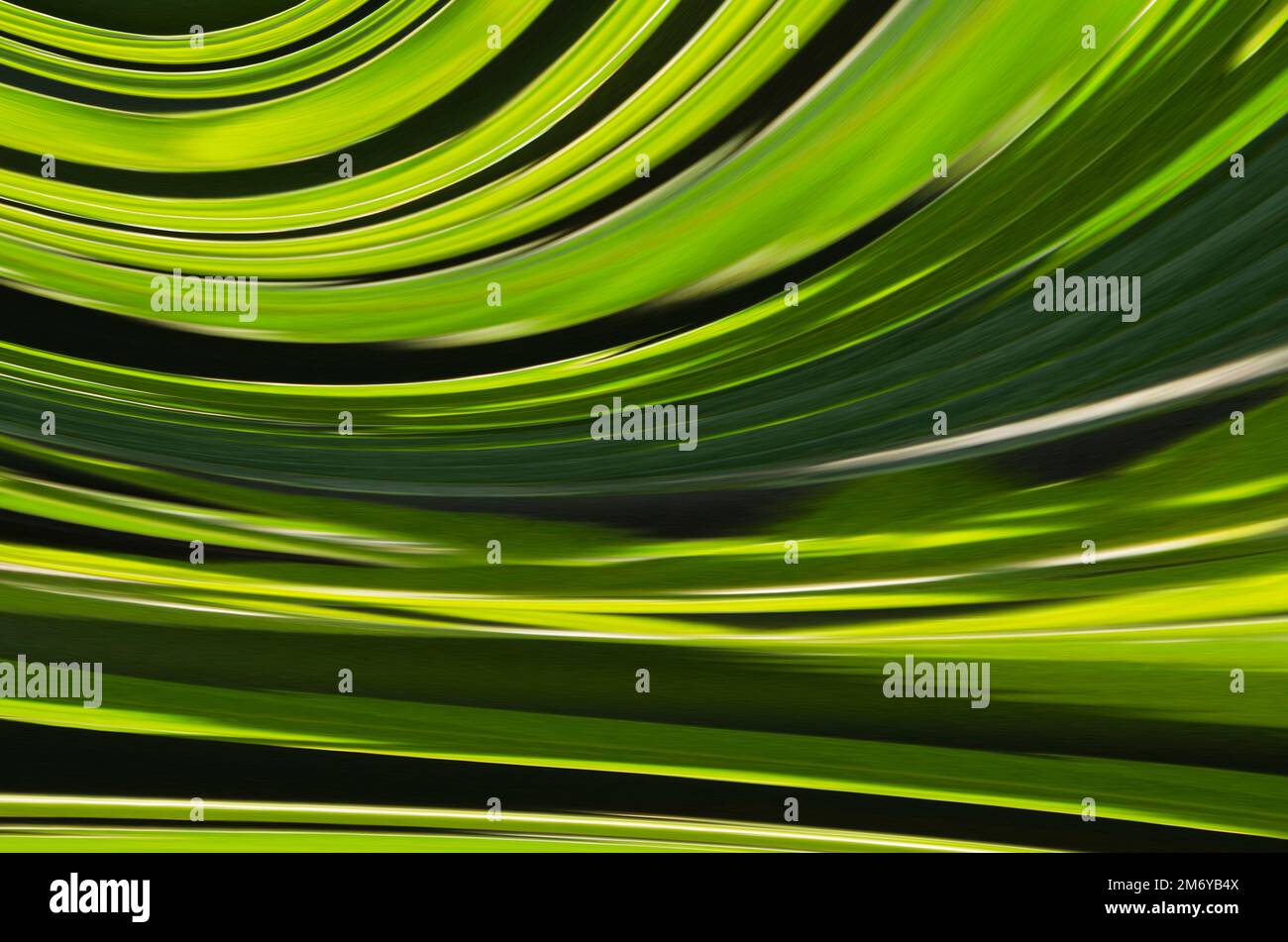 Motivo ondulato colorato per sfondi 13 Foto Stock