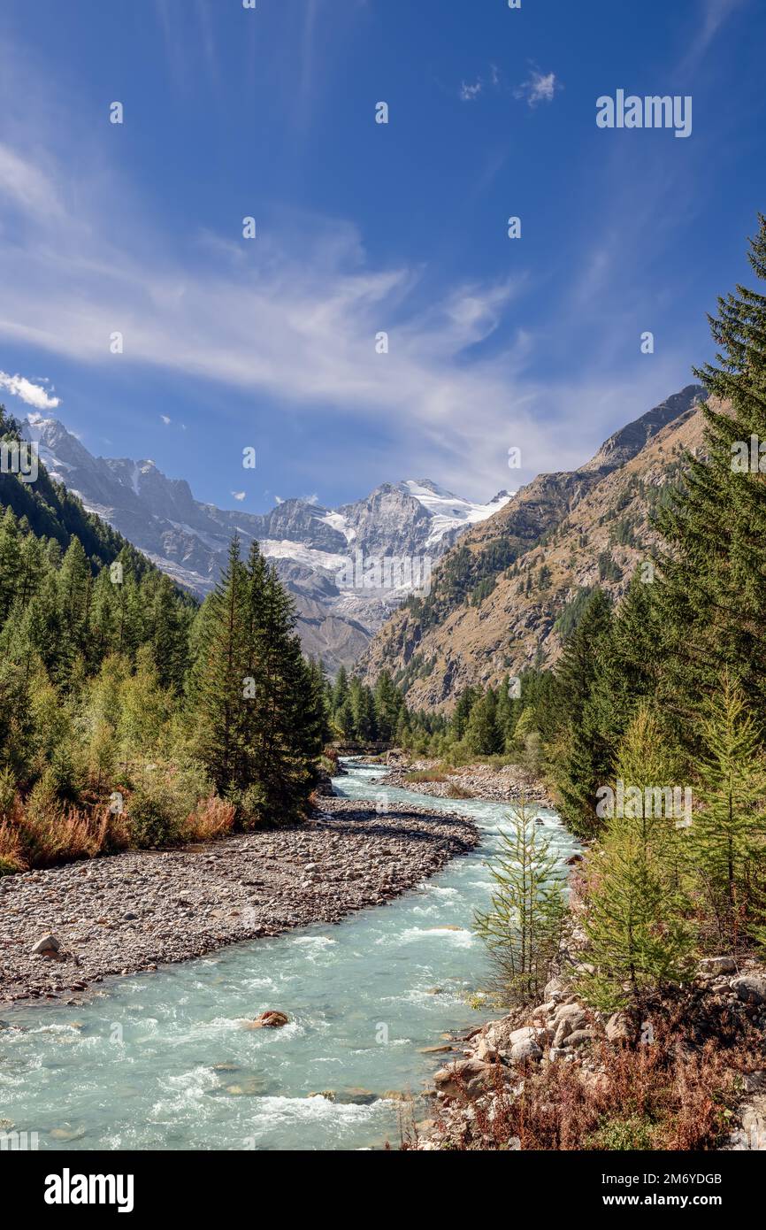 Splendida vista sul fiume di montagna nel Parco Nazionale del Gran Paradiso tra le pendici alpine ricoperte di foresta. Valle d'Aosta, Italia (foto verticale) Foto Stock