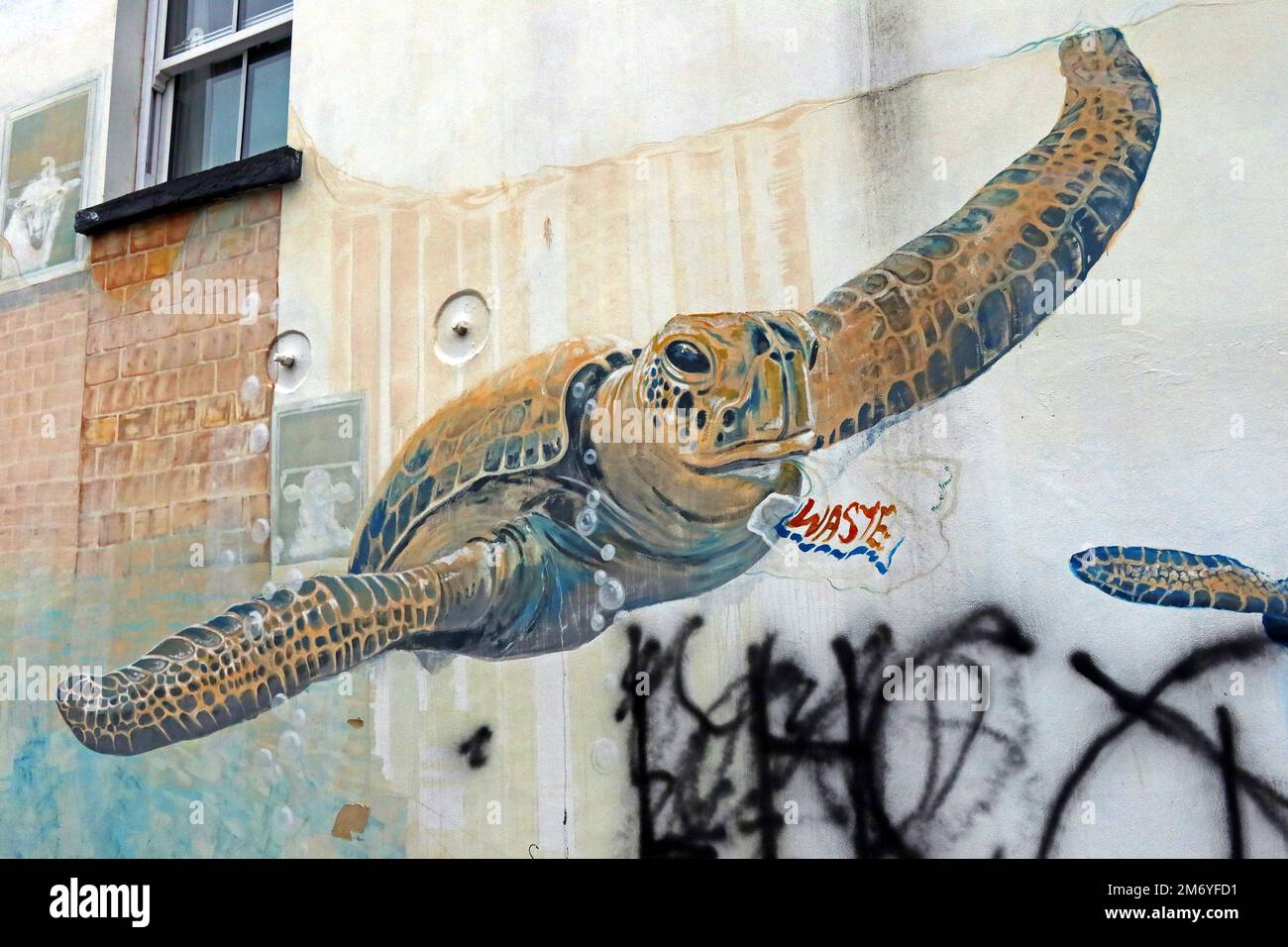 Swimming Turtle and word Waste, arte in High St Cheltenham, dal Paint Festival, Gloucestershire, Inghilterra, UK, GL50 3JF Foto Stock