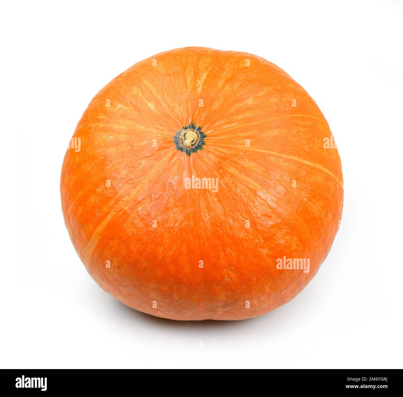 squash kuri rosso isolato su sfondo bianco. Zucca hokkaido rossa fresca isolata su sfondo bianco. Foto Stock