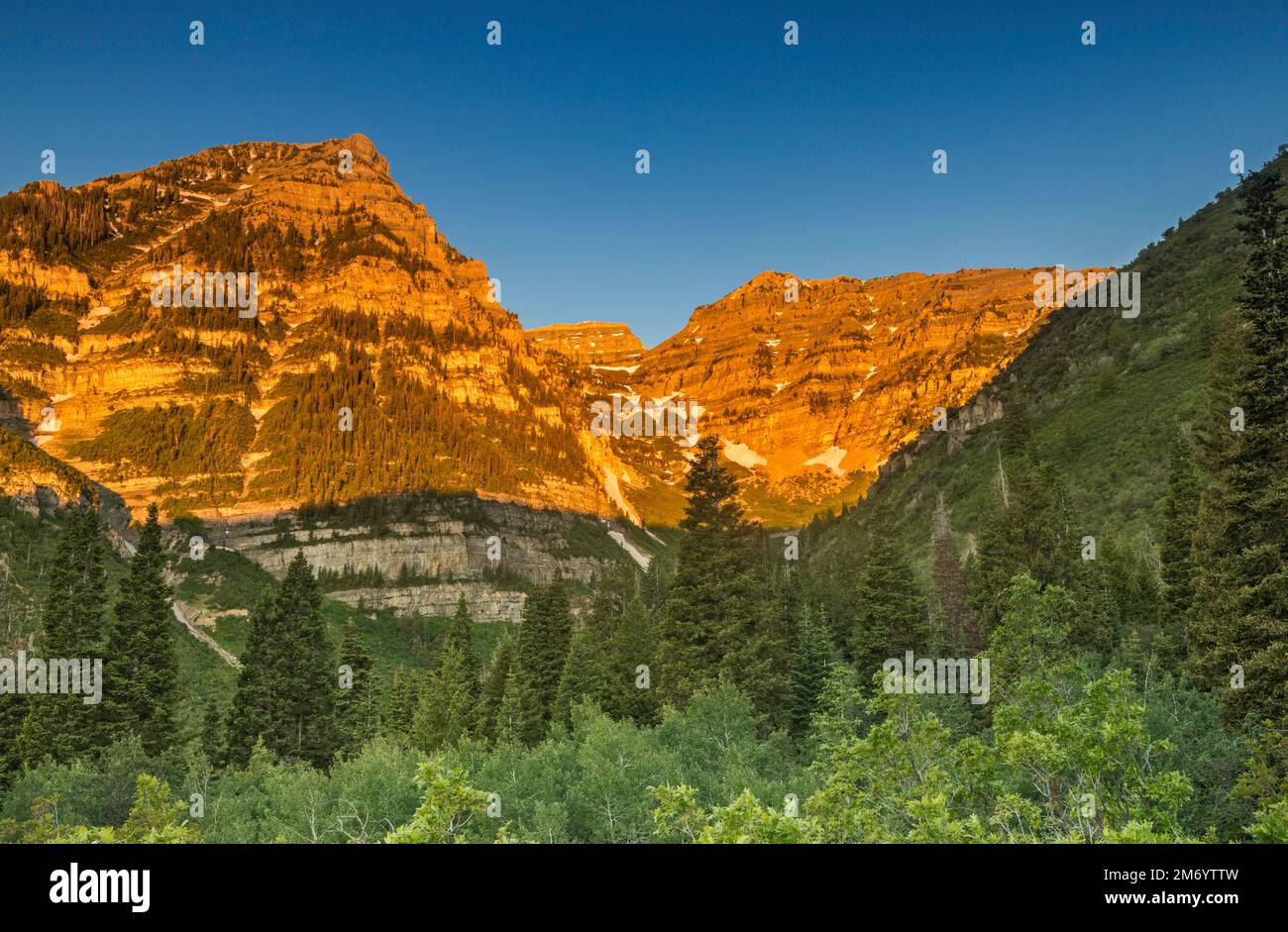 Roberts Horn sul Cirque Primrose al centro, alba, Monte Timpanogos dietro, Wasatch Range, dalla Alpine Scenic Highway, Uinta Natl Forest, Utah, USA Foto Stock