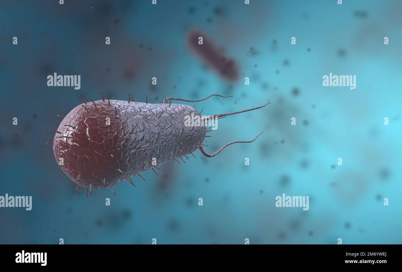 Bacillus è un batterio gram-positivo e spore-formante nella forma di aste o bastoni. Illustrazione 3D Foto Stock