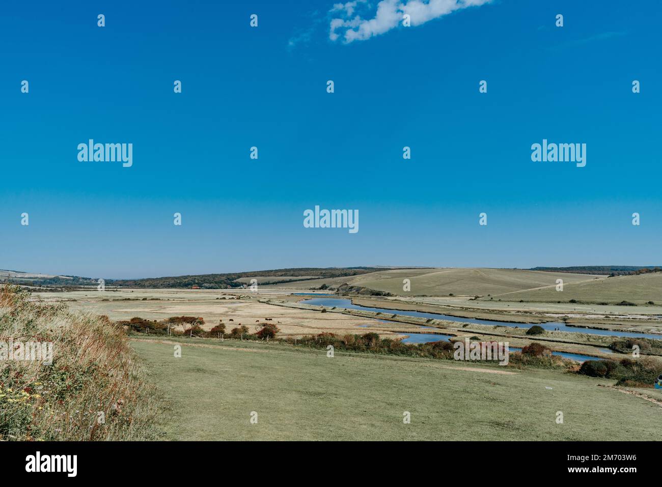 I Coast Guard Cottages e le Seven Sisters Chalk Cliffs appena fuori Eastbourne, Sussex, Inghilterra, Regno Unito. Foto Stock