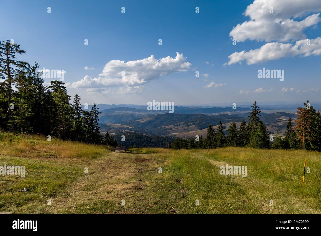 Vista sulle colline e le valli circostanti sui pini Foto Stock