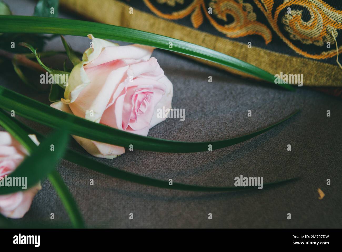 Fiori rosa per il bouquet di nozze Foto Stock