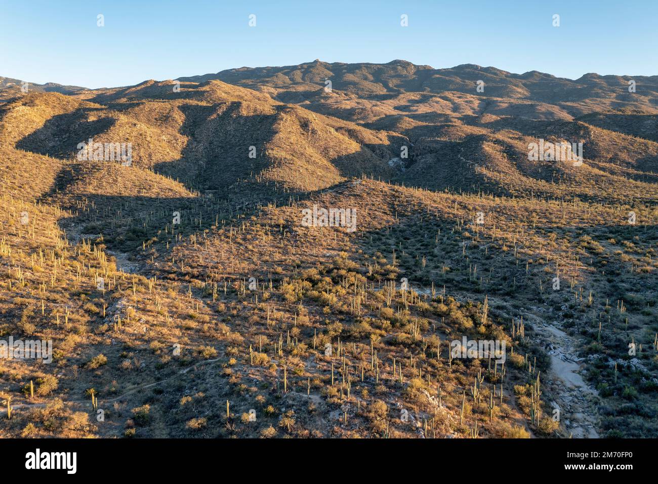 Il sole basso proietta lunghe ombre sulle colline e le montagne del deserto vicino al Saguaro National Park, Arizona. Foto Stock