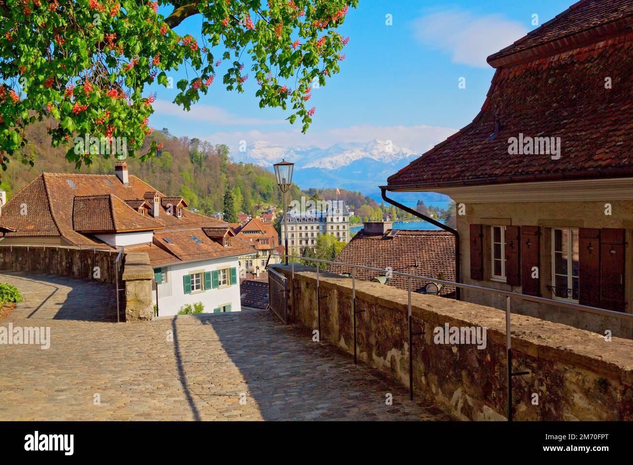 Bellissima città di Thun, Lago di Thunersee, alpi svizzere, Svizzera Foto Stock