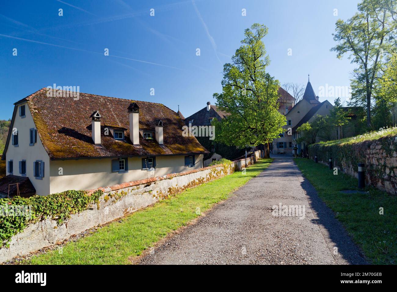 Wildenstein Castello vicino a Basilea, Svizzera Foto Stock