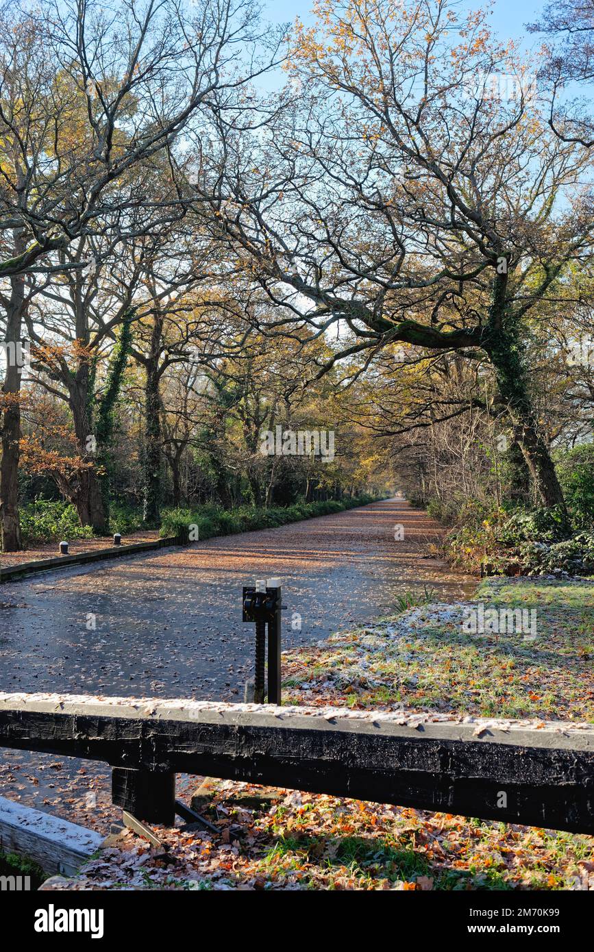 L'inizio del canale di Basingstoke a New Haw in un giorno freddo e gelido inverni, Surrey Inghilterra UK Foto Stock