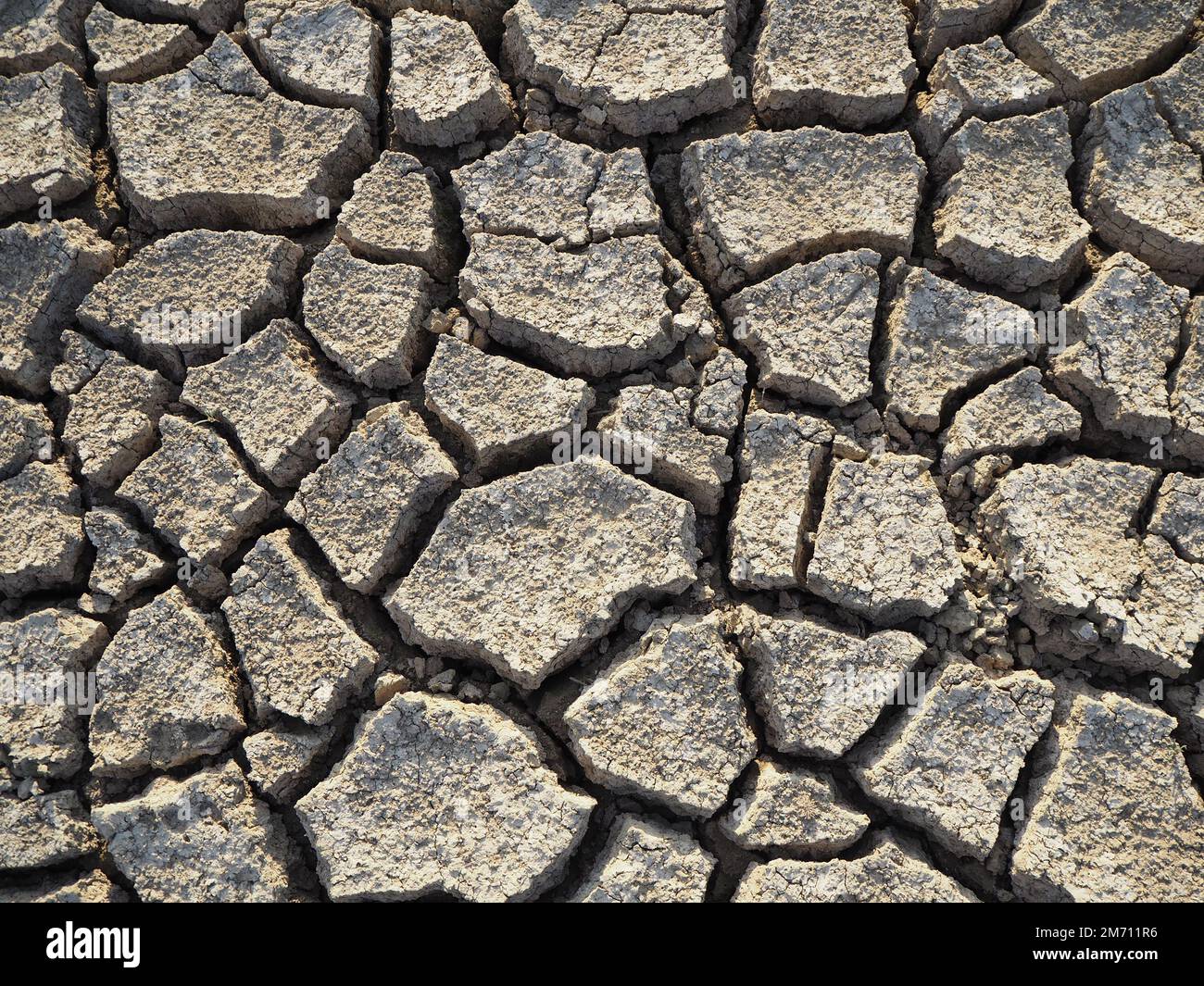 Campo secco incrinato. Struttura naturale di suolo con crepe. Sfondo di suolo incrinato. Grandi crepe nel terreno. Foto Stock