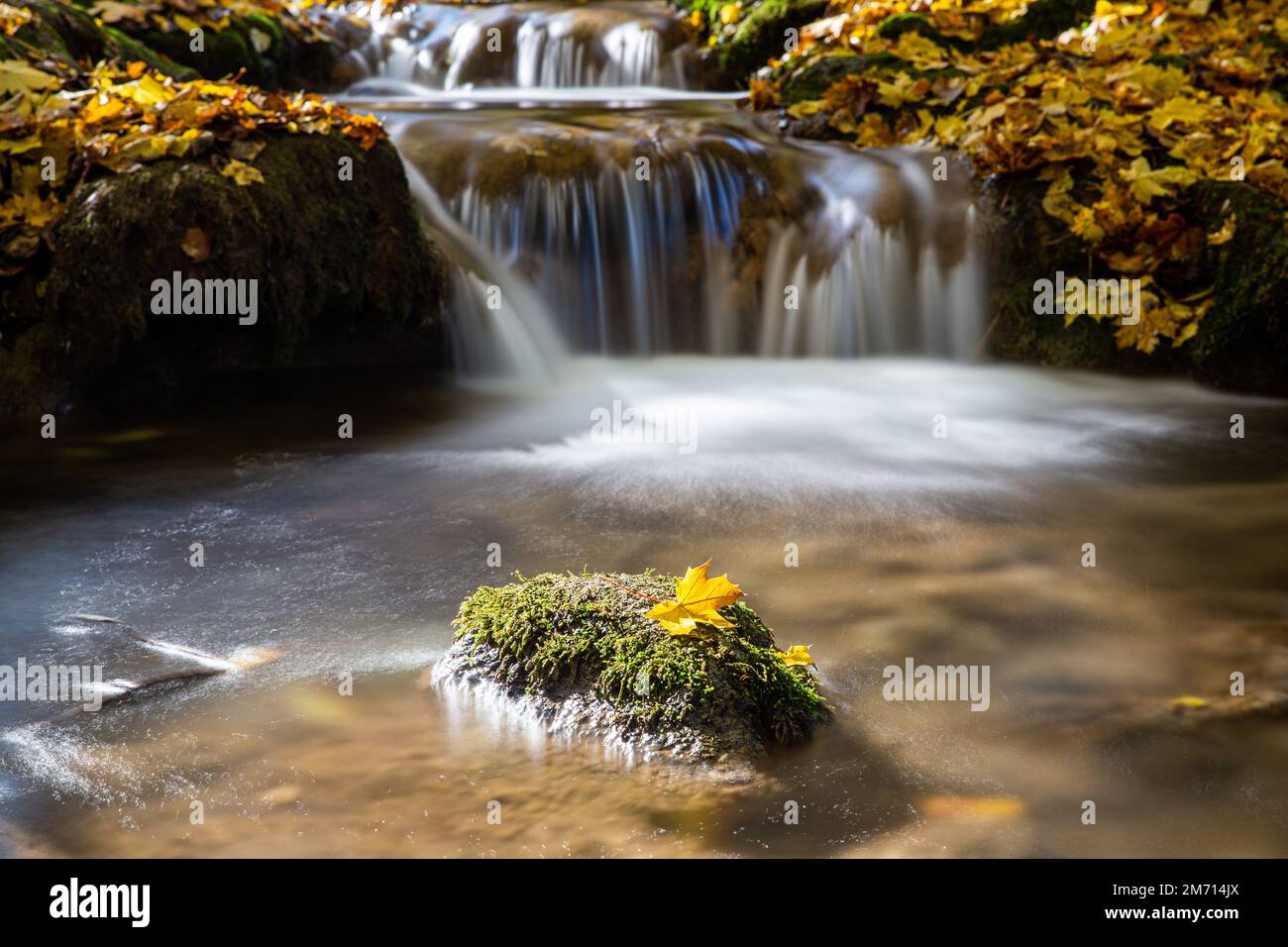 pietra mossy in torrente alla luce del sole con foglia di acero giallo dorato su di esso e piccola cascata in fondo sfocato esposizione lunga Foto Stock