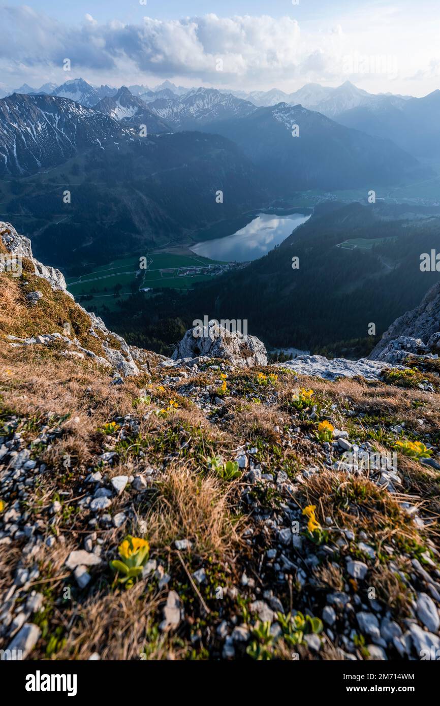 Atmosfera serale, Monti Haldensee e Tannheim, Alpi di Allgaeu, Tirolo, Austria Foto Stock