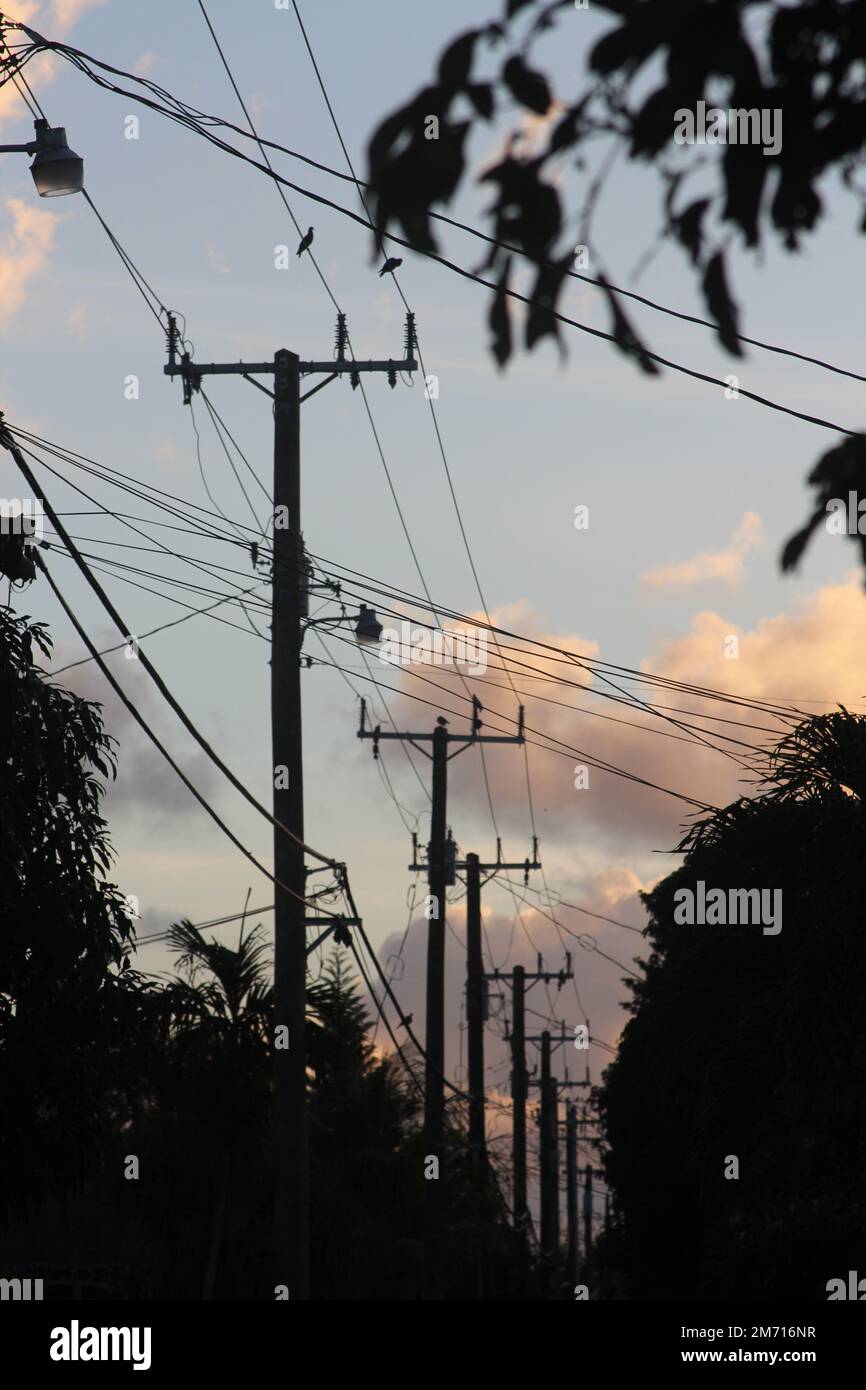Pali e cavi telefonici durante l'alba Foto Stock