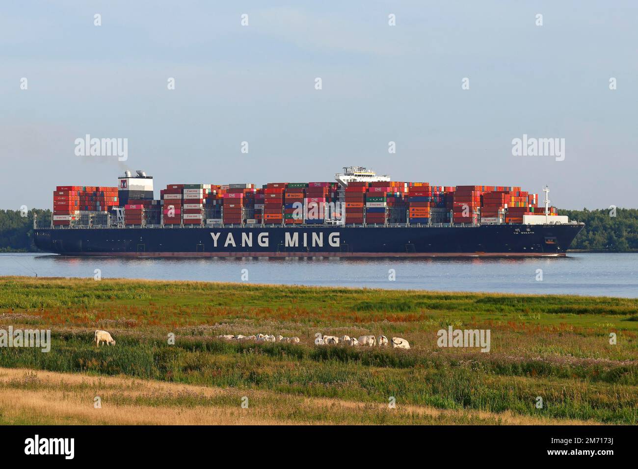 Nave container YM Wreath che lascia il porto di Amburgo sull'Elba, Wedel, Schleswig-Holstein, Germania Foto Stock