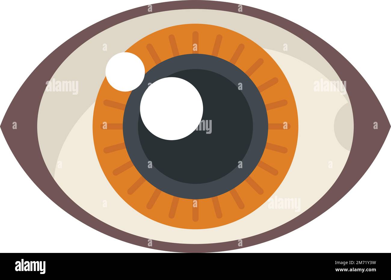 Icona dell'occhio grande vettore piatto. Visualizza aspetto. Visione vedere isolato Illustrazione Vettoriale