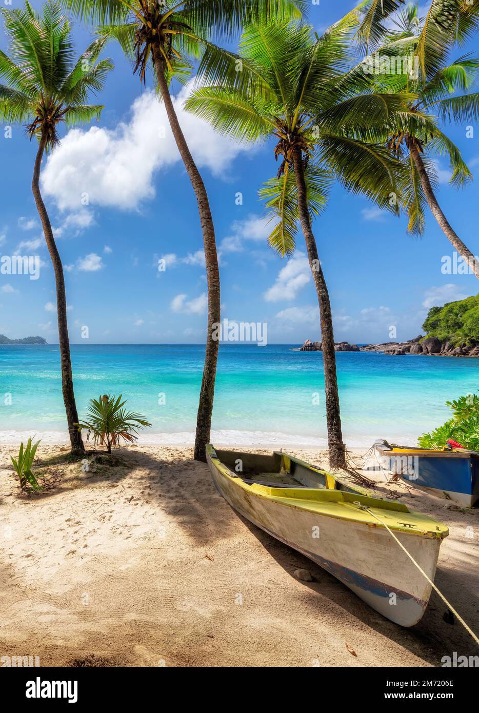 Spiaggia tropicale soleggiata con palme da cocco e il mare turchese sull'isola dei Caraibi. Foto Stock
