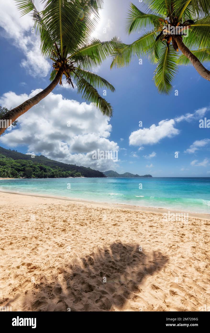 Spiaggia tropicale soleggiata con palme da cocco e il mare turchese sull'isola dei Caraibi. Foto Stock