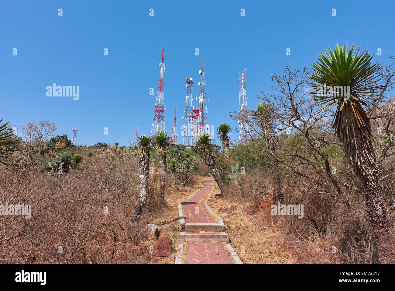 torri di comunicazione sulla cima di una montagna nel mezzo della foresta desertica, cielo blu nei giorni estivi, nessuna gente, rocce e palme Foto Stock