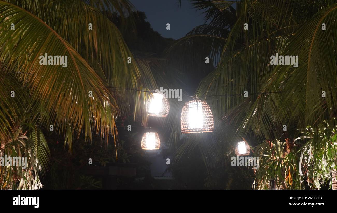 Lampada di lampione da coperta tessuta di bambù appesa nell'albero Foto Stock