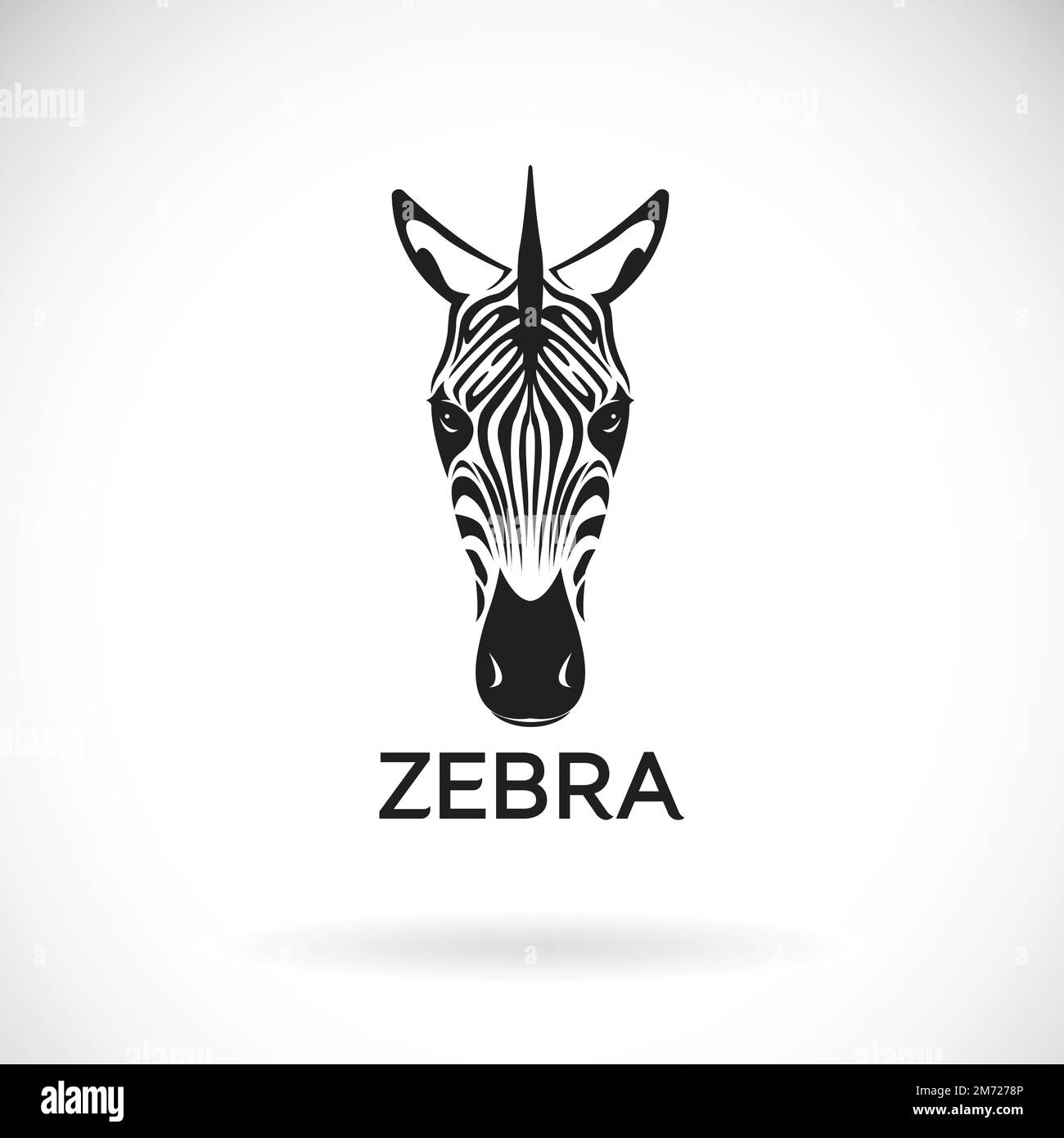Vettore di un volto zebra su sfondo bianco. Animali selvatici. Illustrazione vettoriale a strati facilmente modificabile. Illustrazione Vettoriale