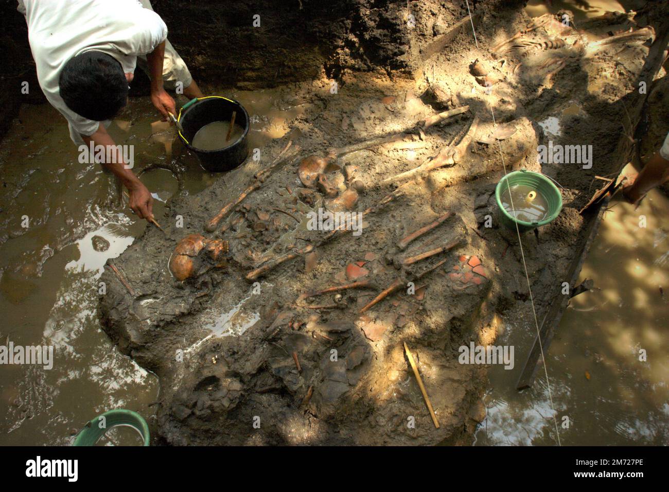 Un uomo pulisce le ossa e i teschi preistorici umani esposti durante lo scavo di un sito preistorico di sepoltura da parte del National Archaeology Research Institute in Indonesia a Tempuran, Karawang, West Java, Indonesia. Foto Stock