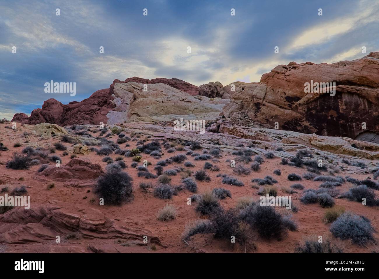 Formazione di sabbia rossa con piante desertiche sotto il cielo blu con nuvole rosse Foto Stock