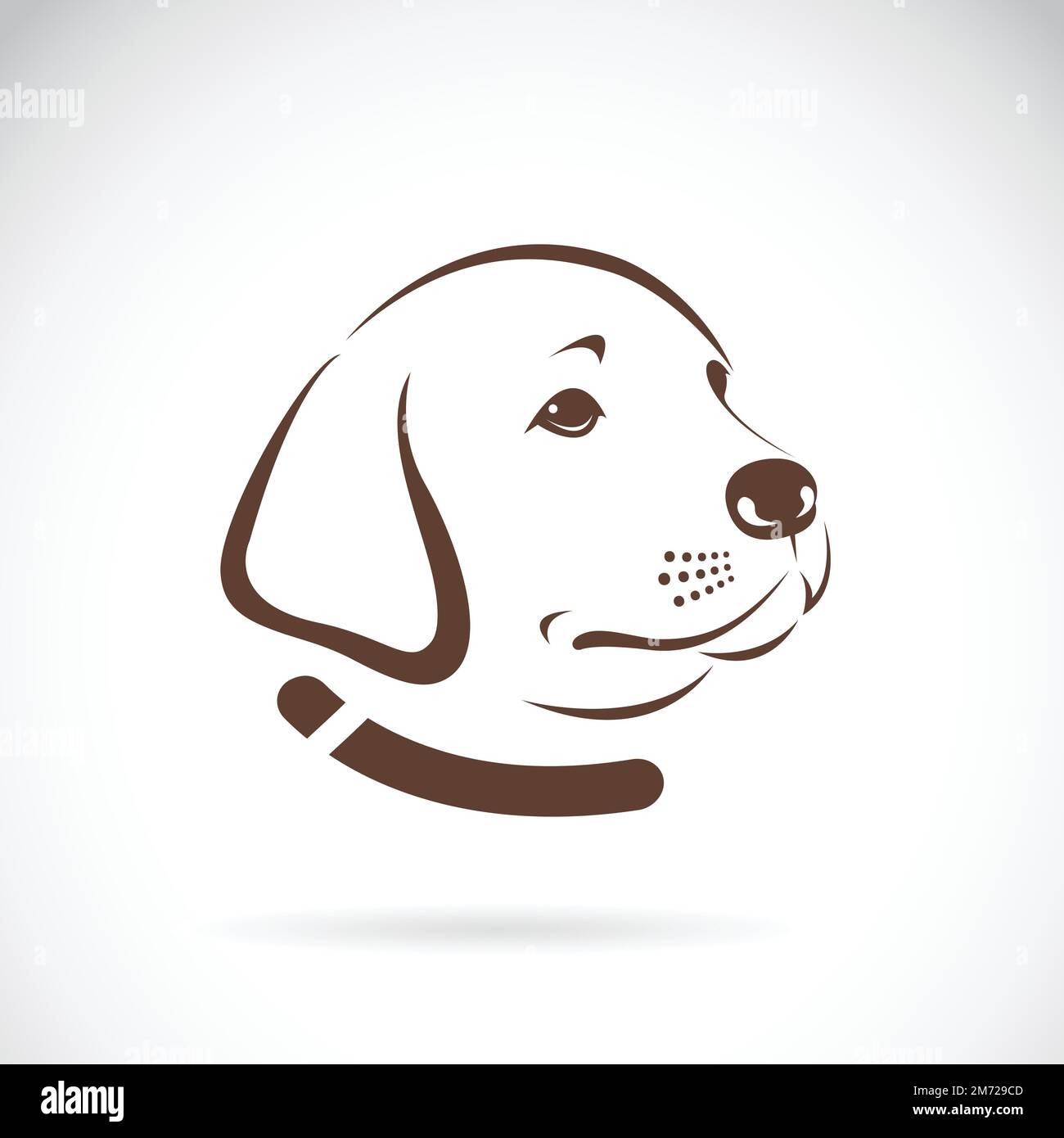 Immagine vettoriale della testa di un cane labrador su sfondo bianco. Illustrazione vettoriale a strati facilmente modificabile. Illustrazione Vettoriale