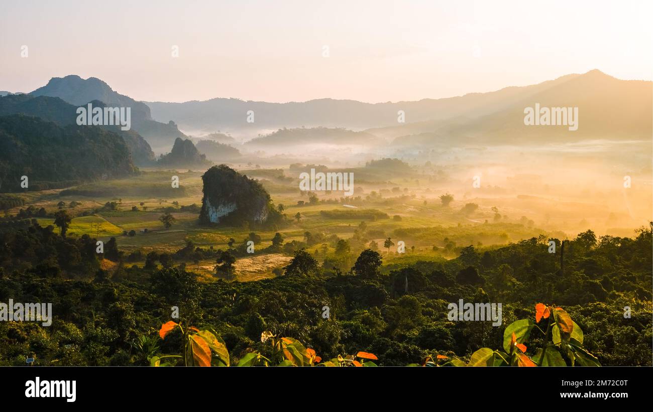 Alba con nebbia e nebbia sulle montagne di Phu Langka nel nord della Thailandia, vista sulle montagne del Parco Nazionale di Phu Langka nella provincia di Phayao Foto Stock