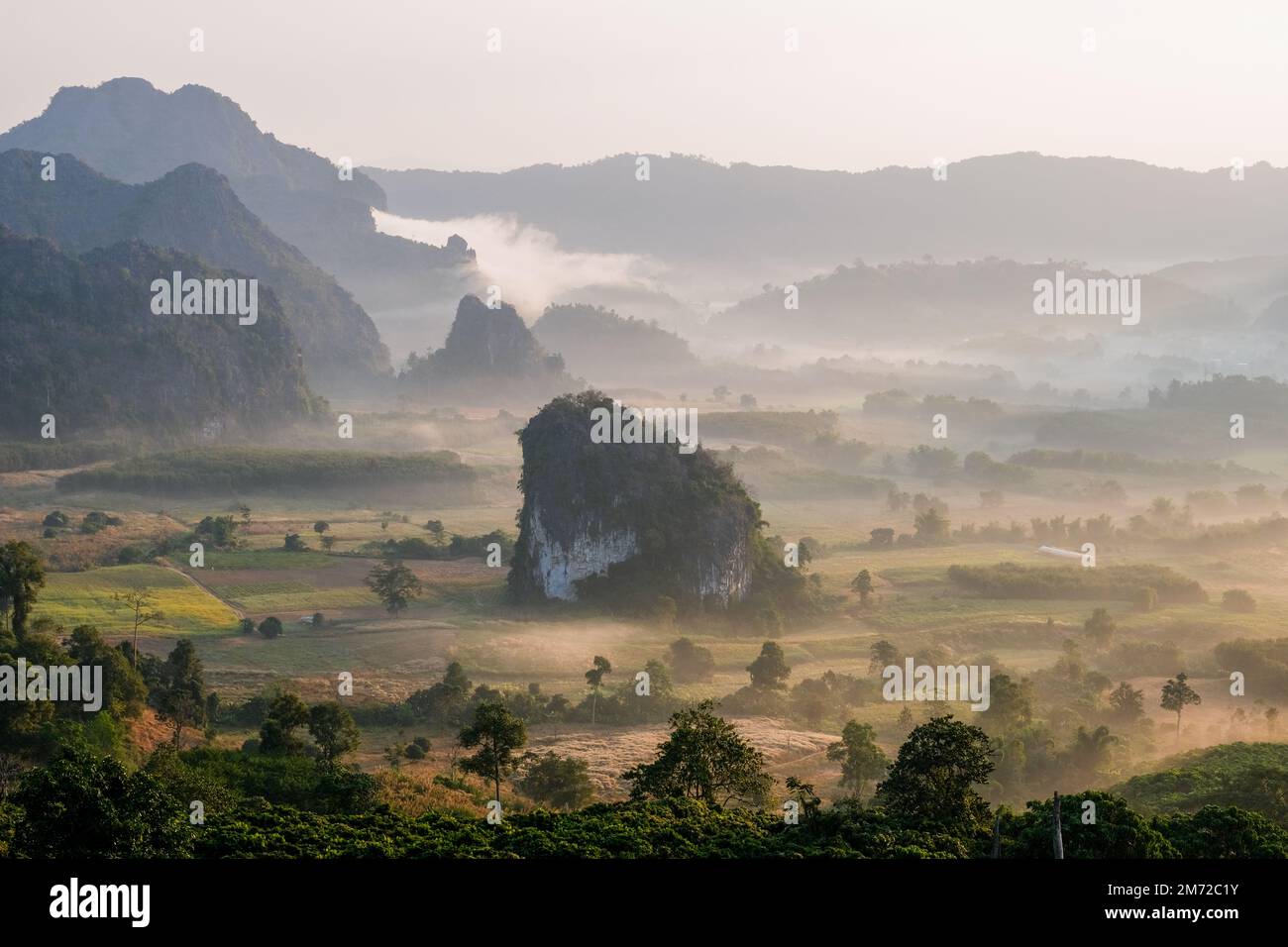 Bella Alba con nebbia e nebbia ai monti Phu Langka nel nord della Thailandia, Vista montagna del Parco Nazionale di Phu Langka nella provincia di Phayao Foto Stock