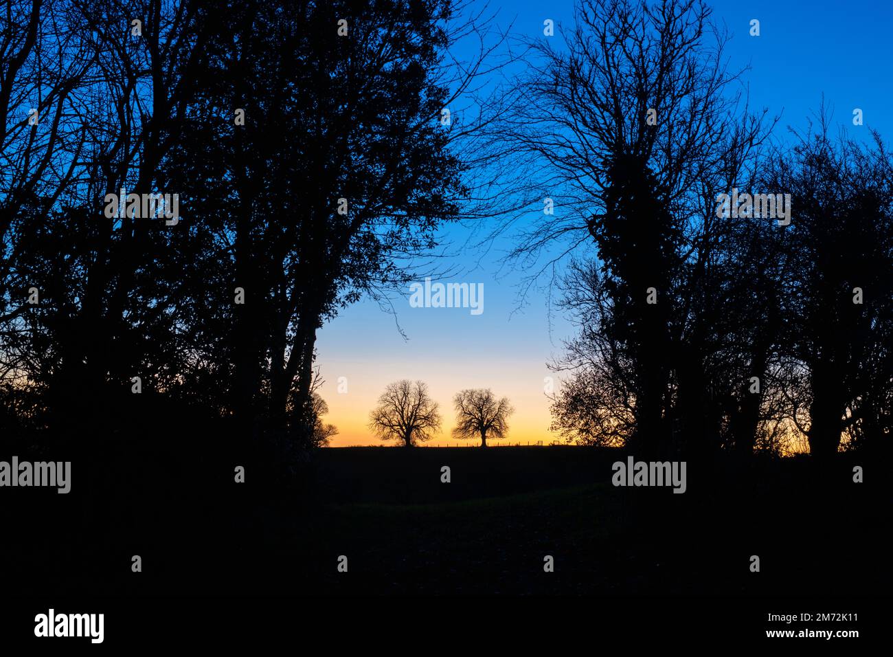 L'alba invernale nella campagna dell'oxfordshire vicino a Swacliffe. Oxfordshire, Inghilterra Foto Stock