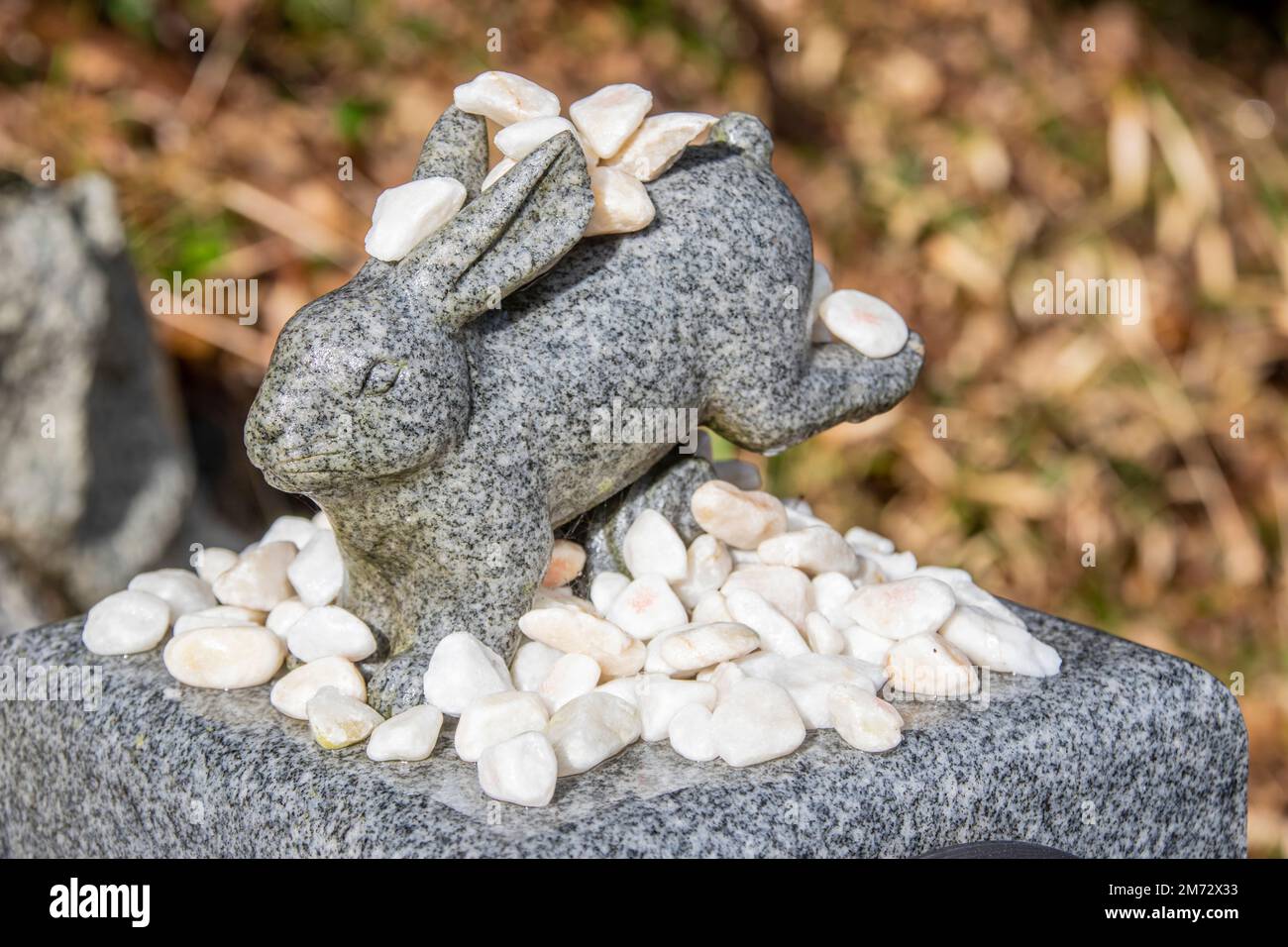La statua di coniglio bianco nel Santuario di Hakuto Tottori Giappone. Ci sono molte pietre bianche (Musubi Ishi) per Wish, che ha il carattere cinese “bond” Foto Stock
