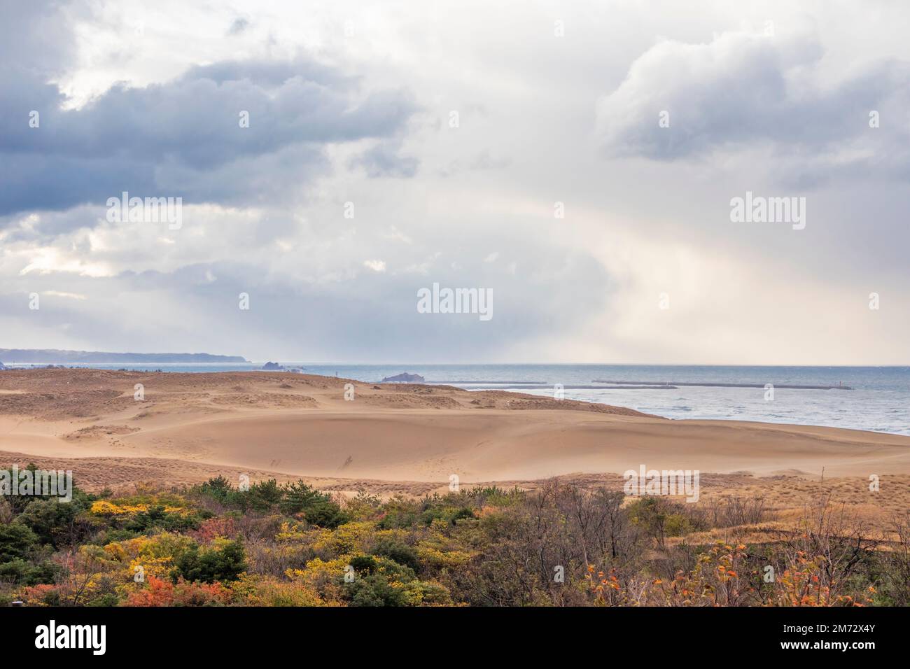 La vista autunnale delle dune di sabbia di Tottori, situato fuori dal centro della città di Tottori nella prefettura di Tottori, Giappone. Il backgroud è il Mare del Giappone. Foto Stock