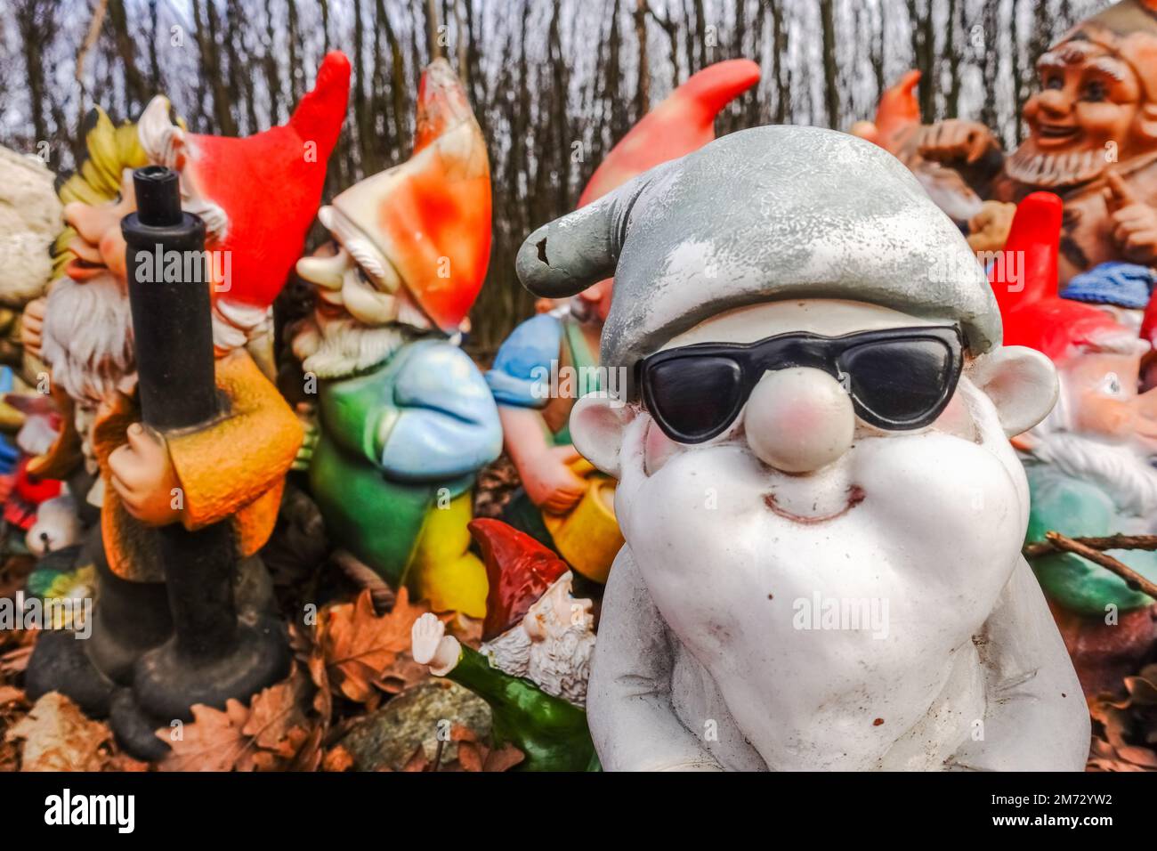 gnomes giardino colorato con occhiali da sole neri in un luogo nella foresta durante le escursioni Foto Stock