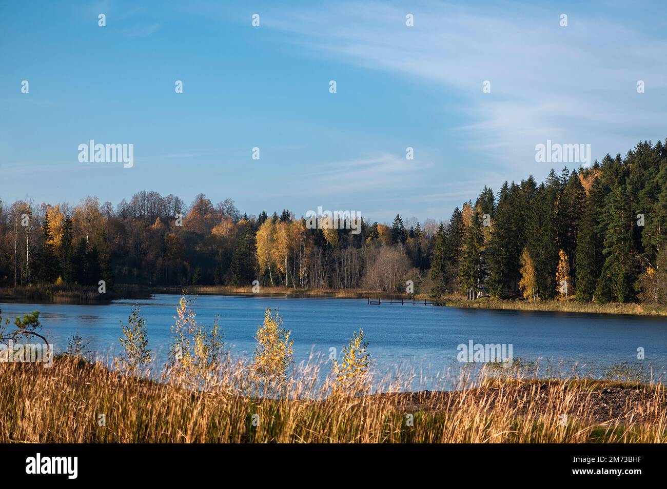 Colorato paesaggio autunnale con lago e passerella Foto Stock