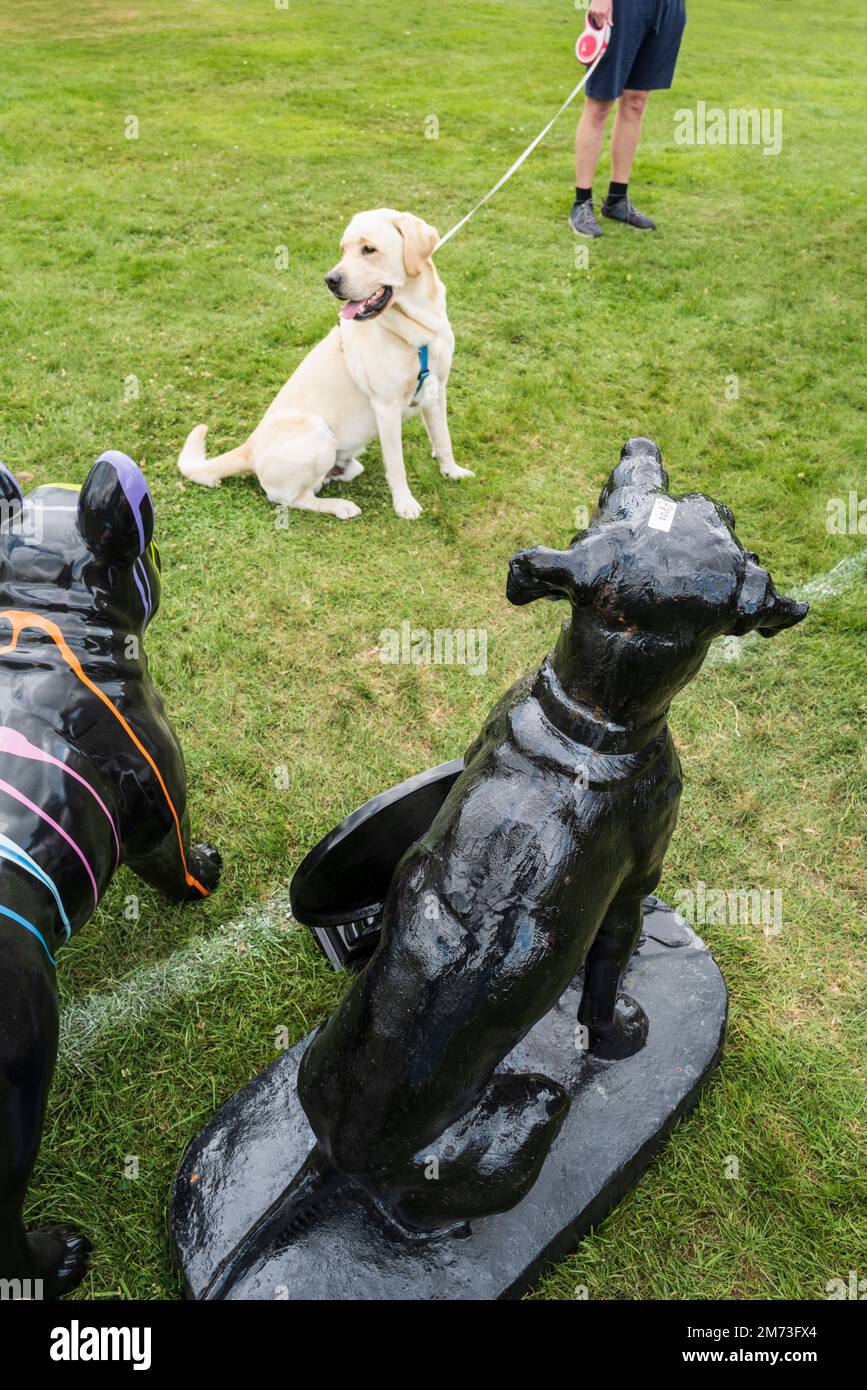 Il cane reale incontra statue di cani modello al Border Union Show, Kelso, Scozia Foto Stock