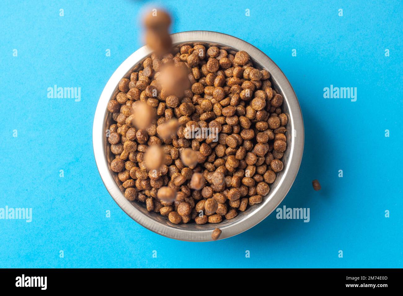 Versare la razione degli alimenti secchi per animali domestici in un recipiente di metallo su sfondo blu. Nutrire gatti e cani con cibo secco granulato. Pellet di alimenti sani per cani e. Foto Stock
