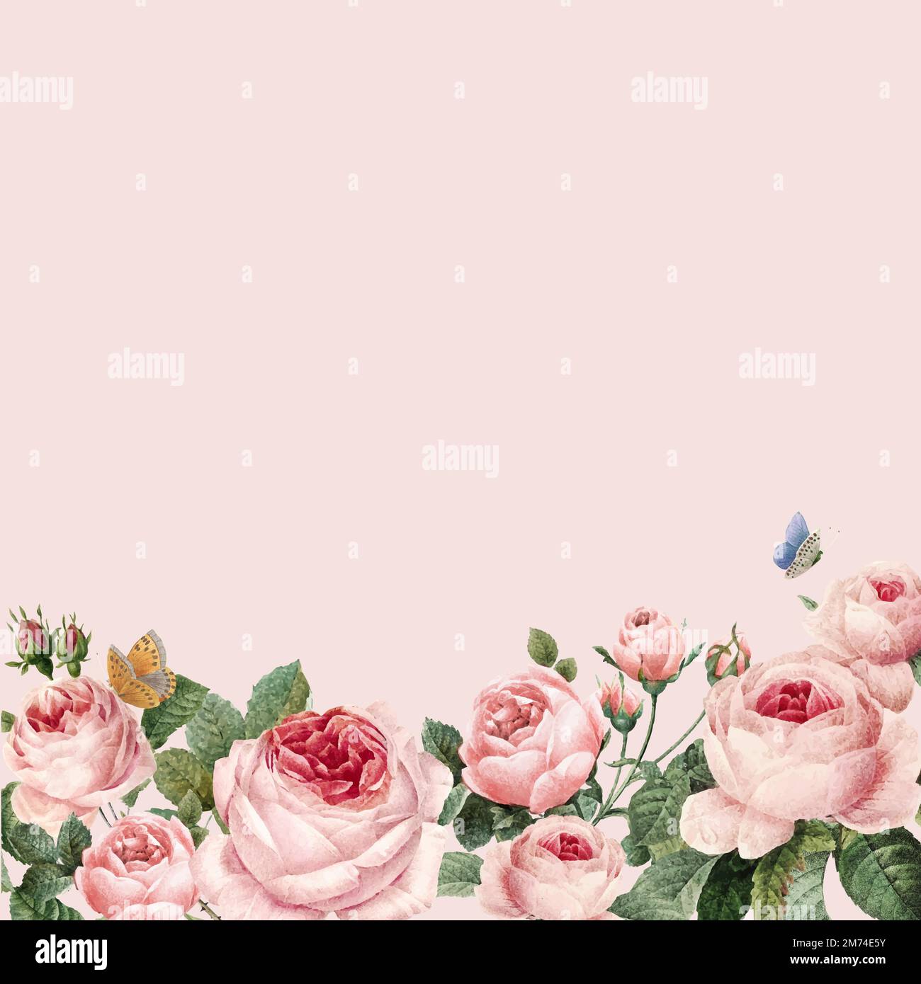 Cornice di rose rosa disegnate a mano su vettore di sfondo rosa pastello Illustrazione Vettoriale