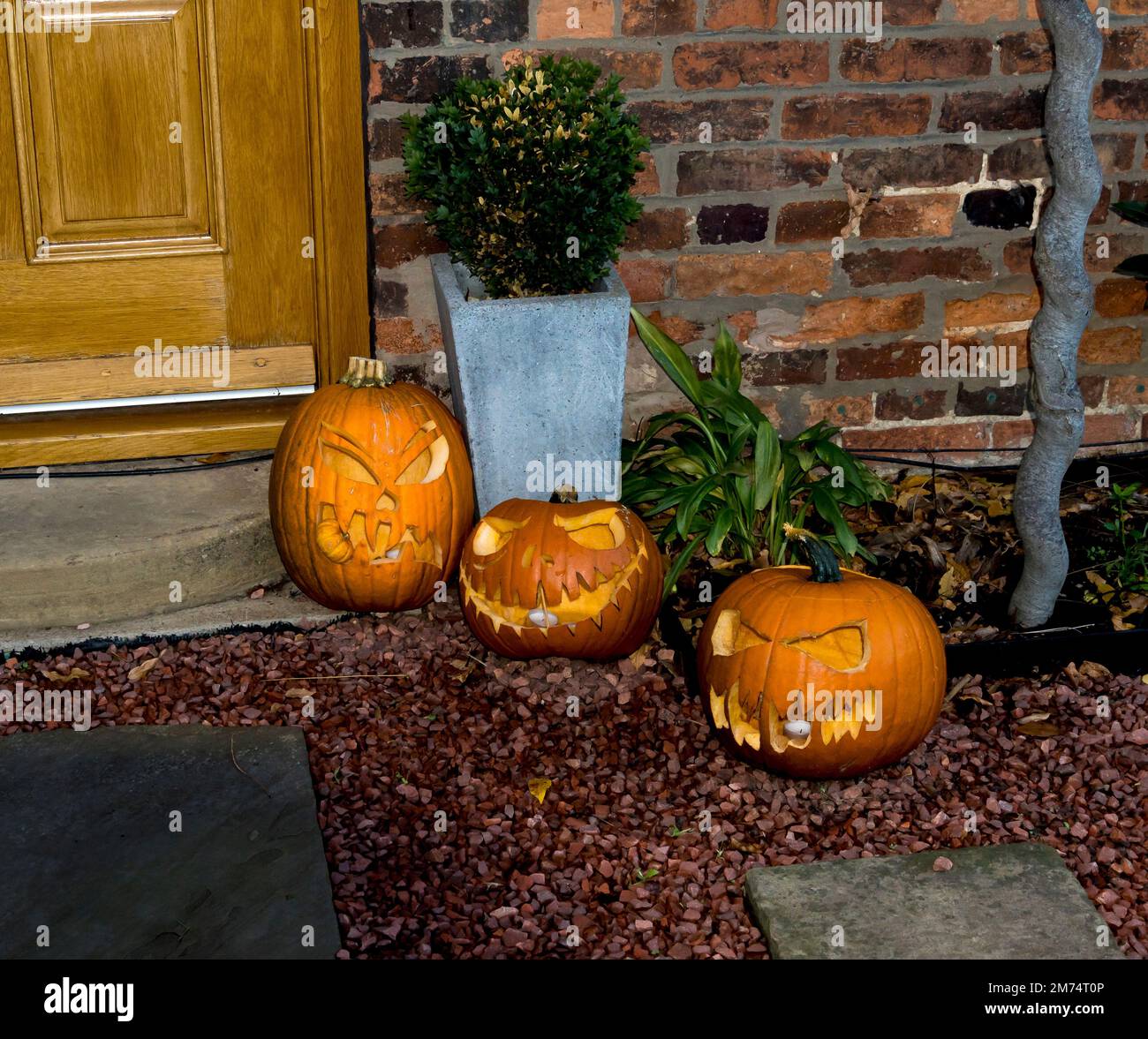Tre testine di zucca. Cherry Willingham Lincoln 2022 Foto Stock