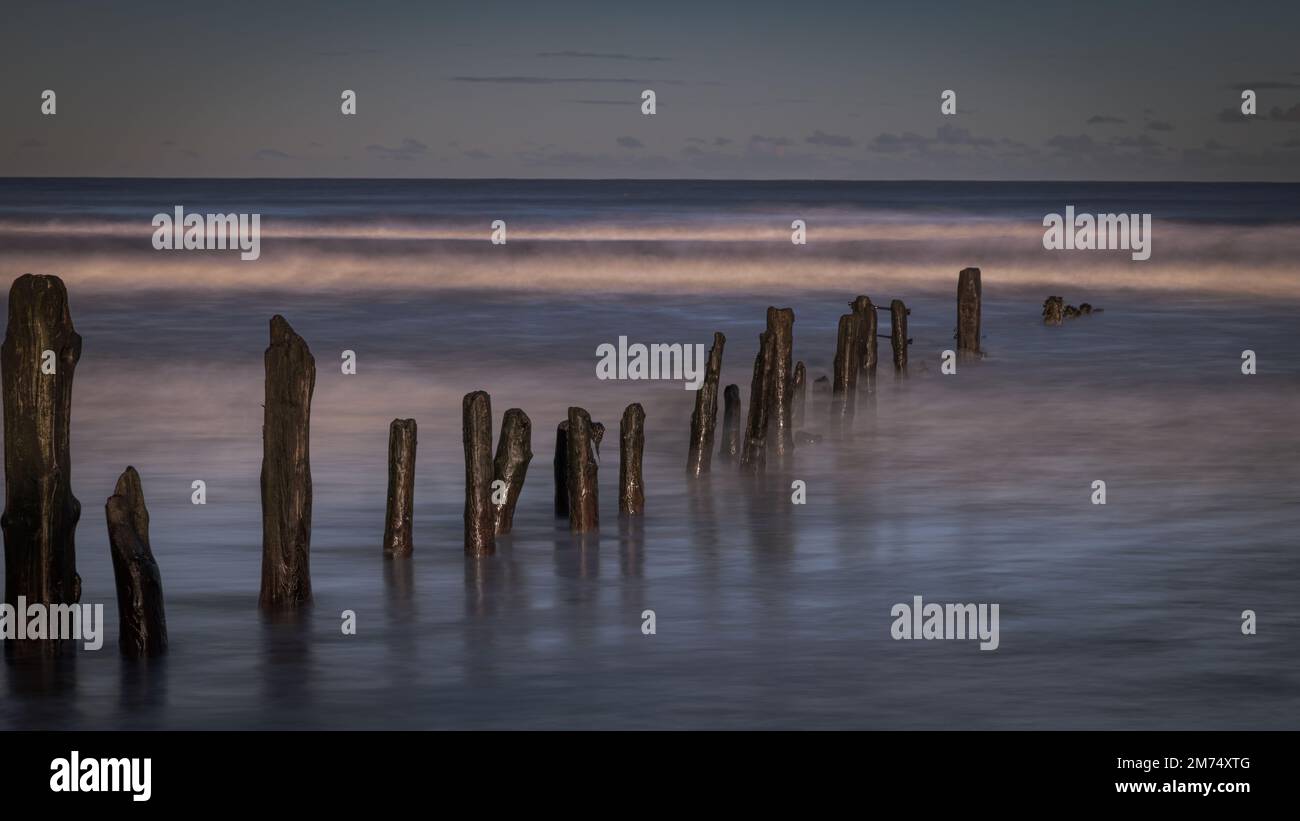 Groynes circondato dal mare Foto Stock