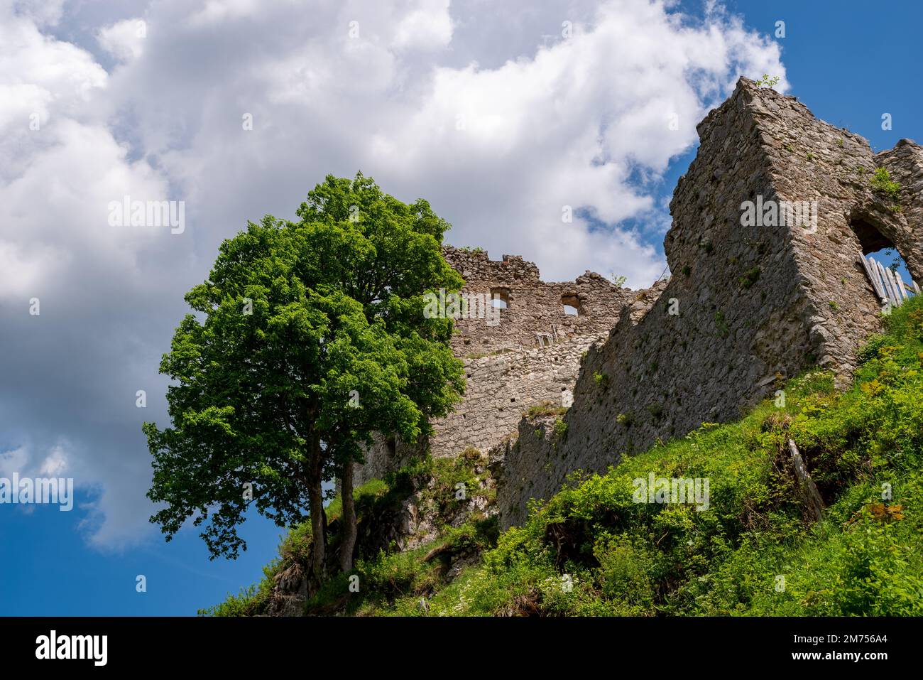Rovina delle torri del castello di Ehrenberg rovina a Reutte, Austria, prospettiva dal basso Foto Stock