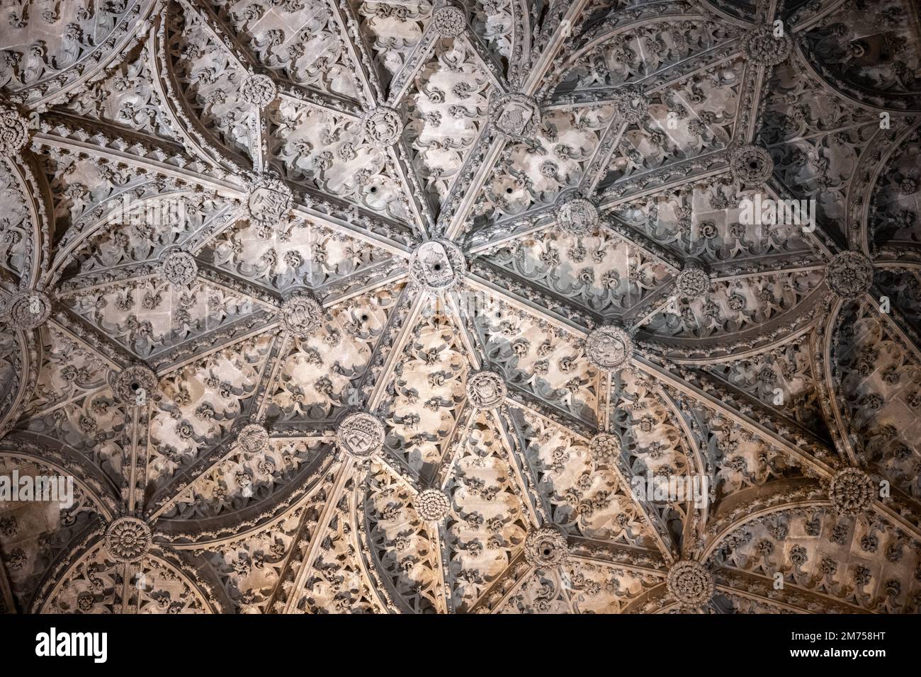Il soffitto della Cattedrale di Siviglia Foto Stock