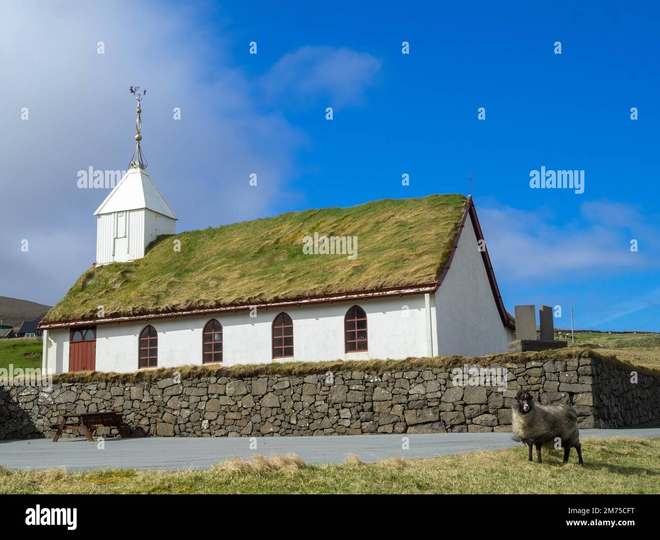 Una pecora di Skálavík chiesa coperta di erba sintetica Foto Stock