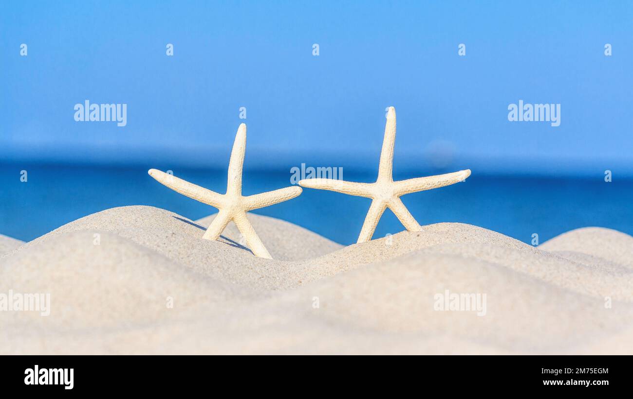 Due stelle marine su una spiaggia sabbiosa, concetto di vacanza o vacanza estiva, turismo in spiaggia. Backgroun con spazio per il testo Foto Stock