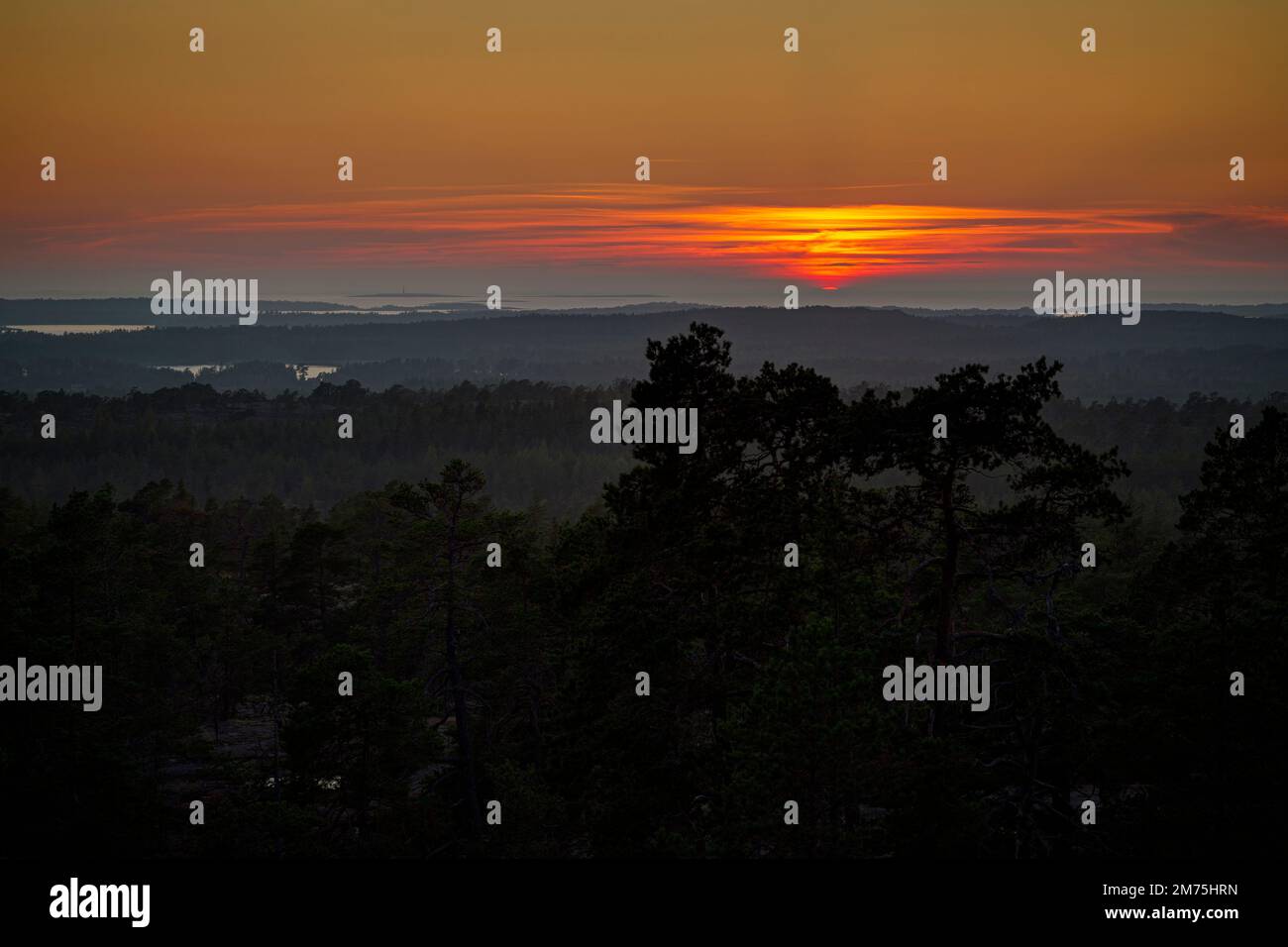 Paesaggio boschivo panoramico a Geta nelle isole Åland, Finlandia, al tramonto d'estate. Foto Stock